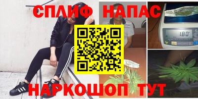 прущие грибы Новодвинск
