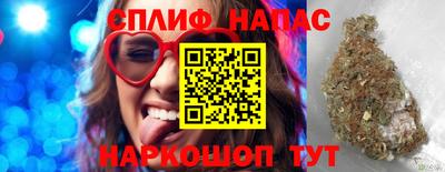 прущие грибы Новодвинск