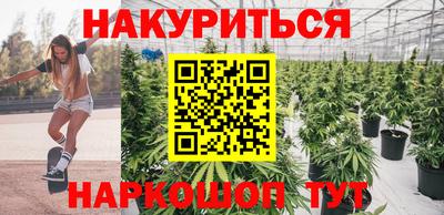 прущие грибы Новодвинск