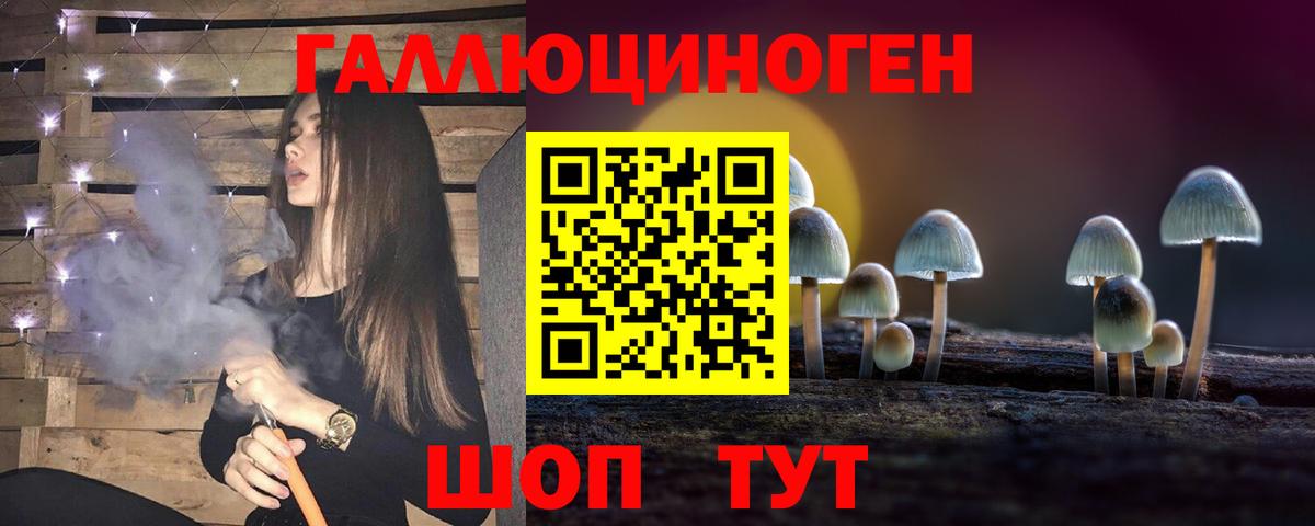 Реутов  Псилоцибиновые грибы GOLDEN TEACHER  Вход с VPN 
